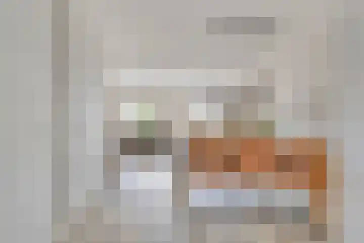 Nieuwe Oostdijk 4 Goedereede thumbnail 8
