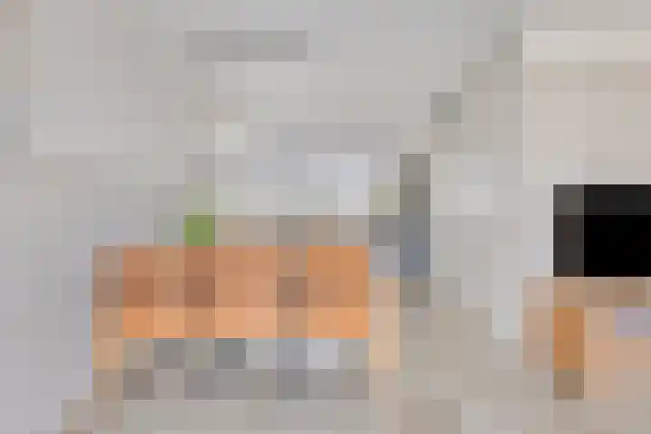 Nieuwe Oostdijk 4 Goedereede thumbnail 9