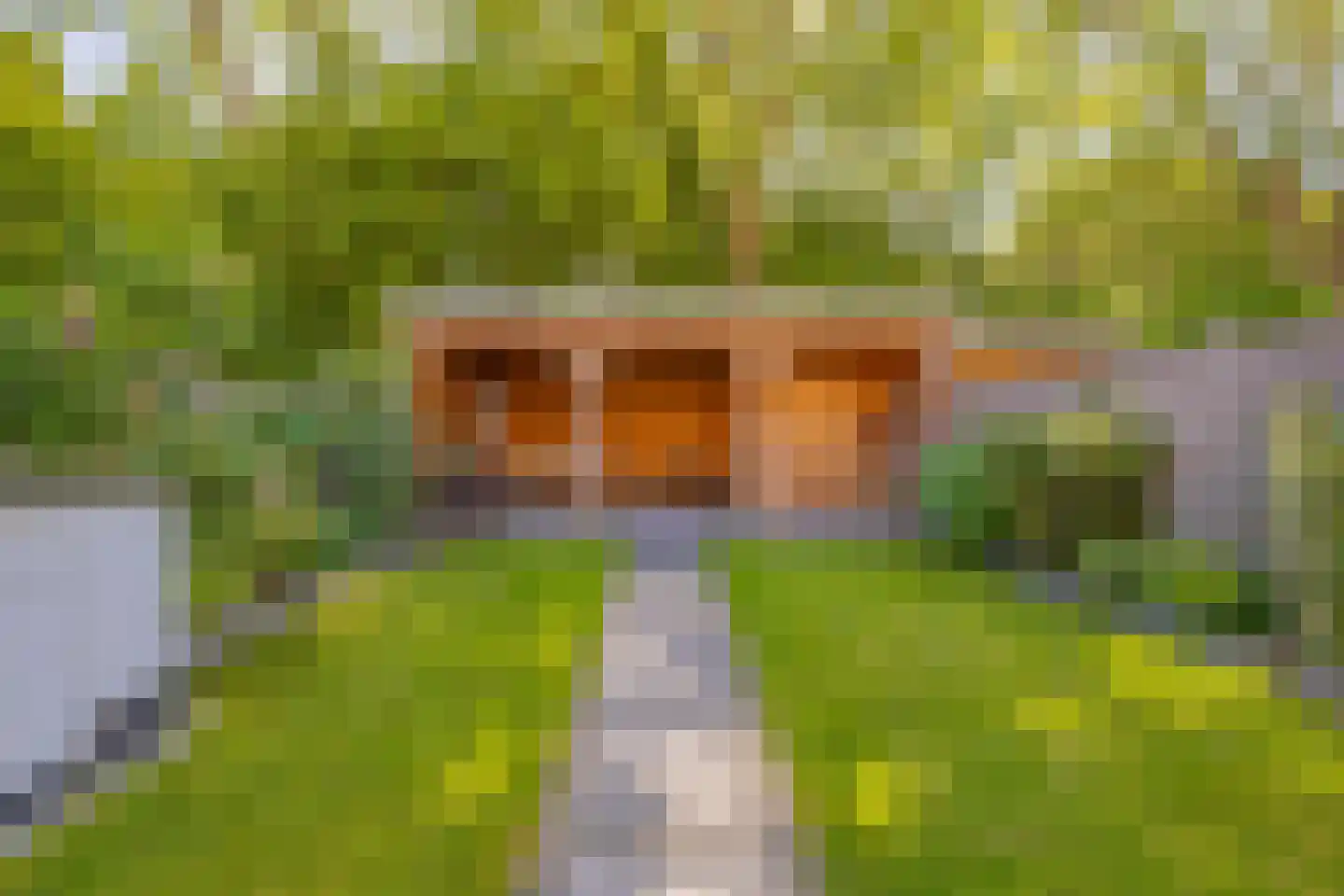 Nieuwe Oostersestraat 18 Middelburg thumbnail 20
