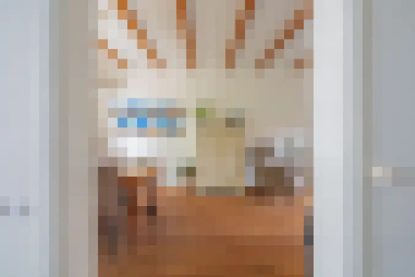 Nieuwe Oostersestraat 18 Middelburg thumbnail 9