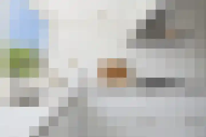 Nieuwe Oostersestraat 34 B Middelburg thumbnail 28
