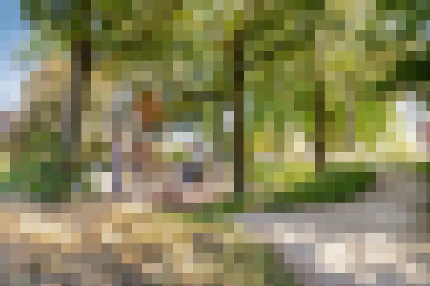 Nieuwe Osdorpergracht 265 Amsterdam thumbnail 34
