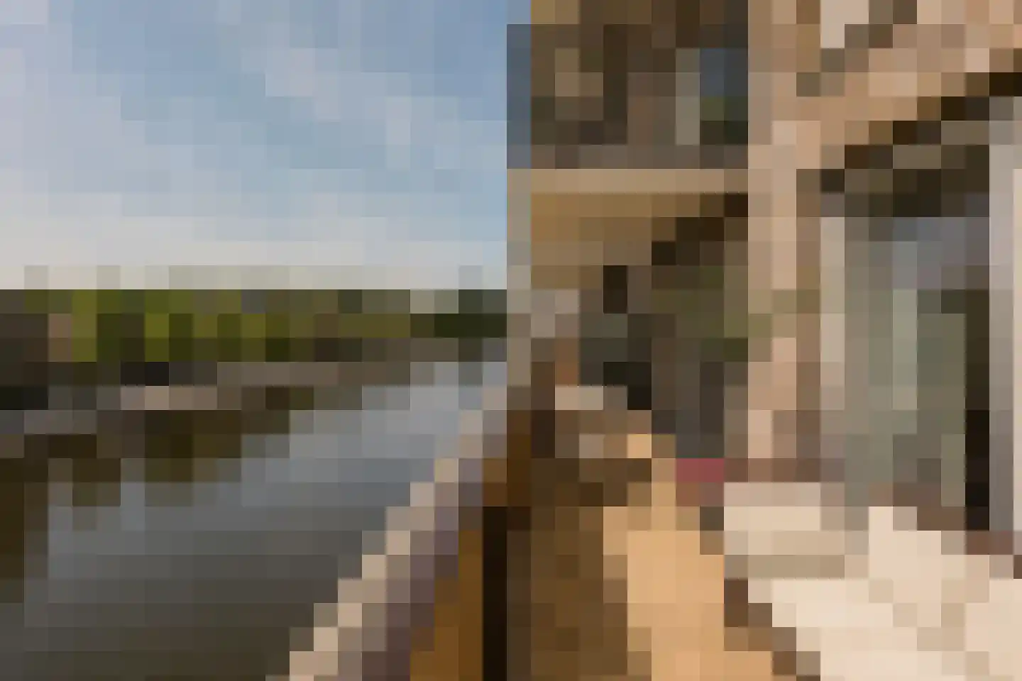 Nieuwe Osdorpergracht 466 D Amsterdam thumbnail 15