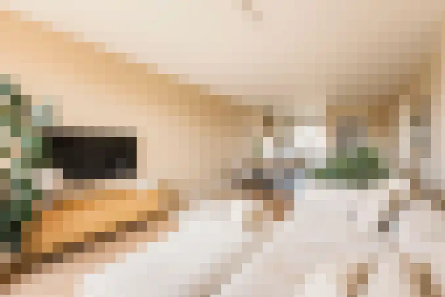 Nieuwe Osdorpergracht 466 D Amsterdam thumbnail 17