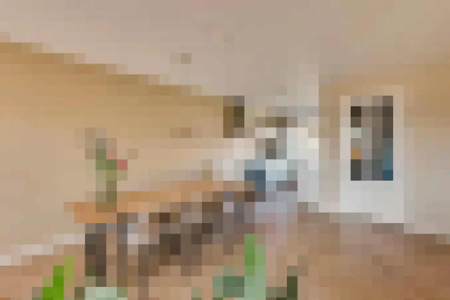 Nieuwe Osdorpergracht 466 D Amsterdam thumbnail 19
