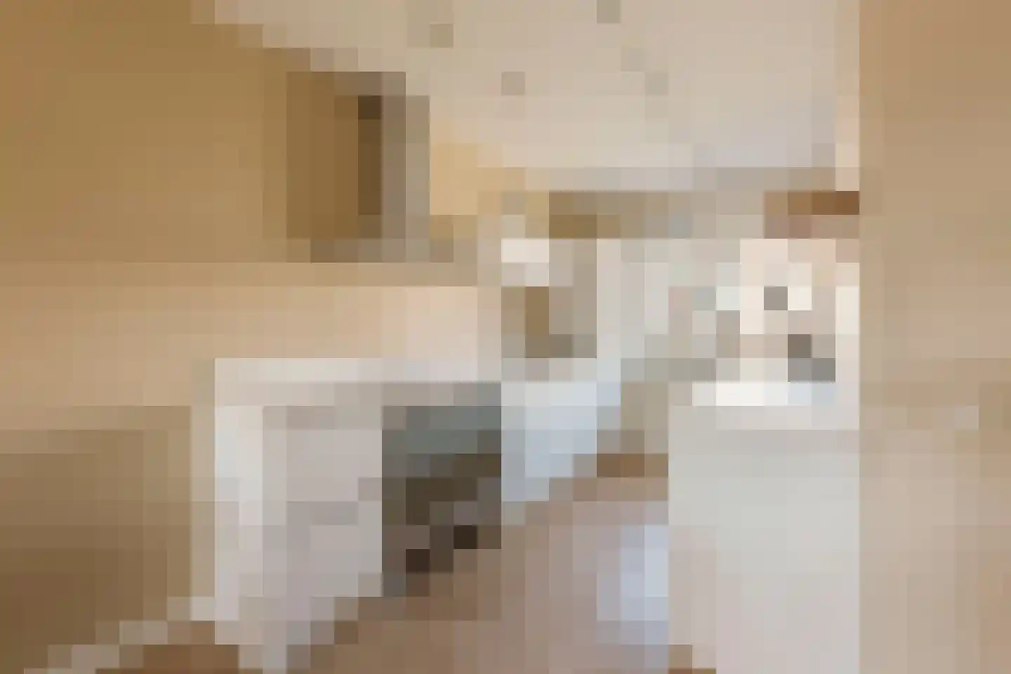 Nieuwe Osdorpergracht 466 D Amsterdam thumbnail 20