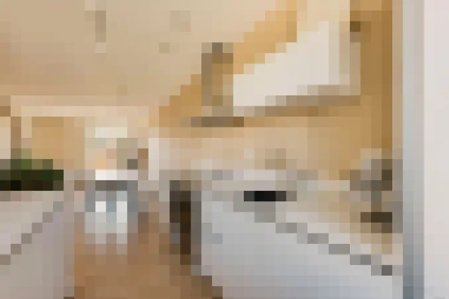 Nieuwe Osdorpergracht 466 D Amsterdam thumbnail 23