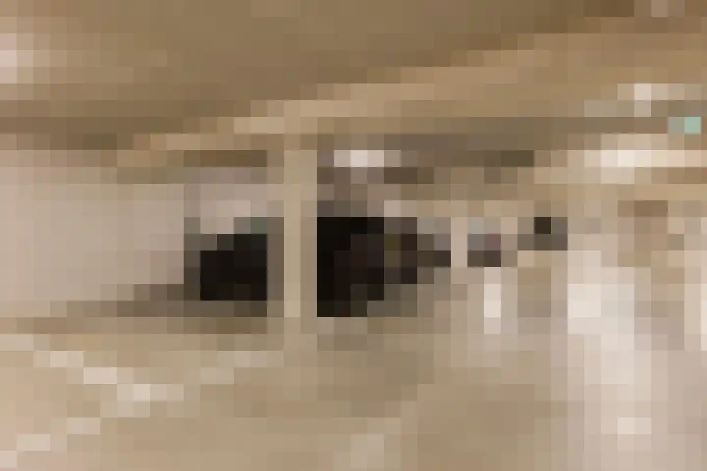 Nieuwe Osdorpergracht 466 D Amsterdam thumbnail 35