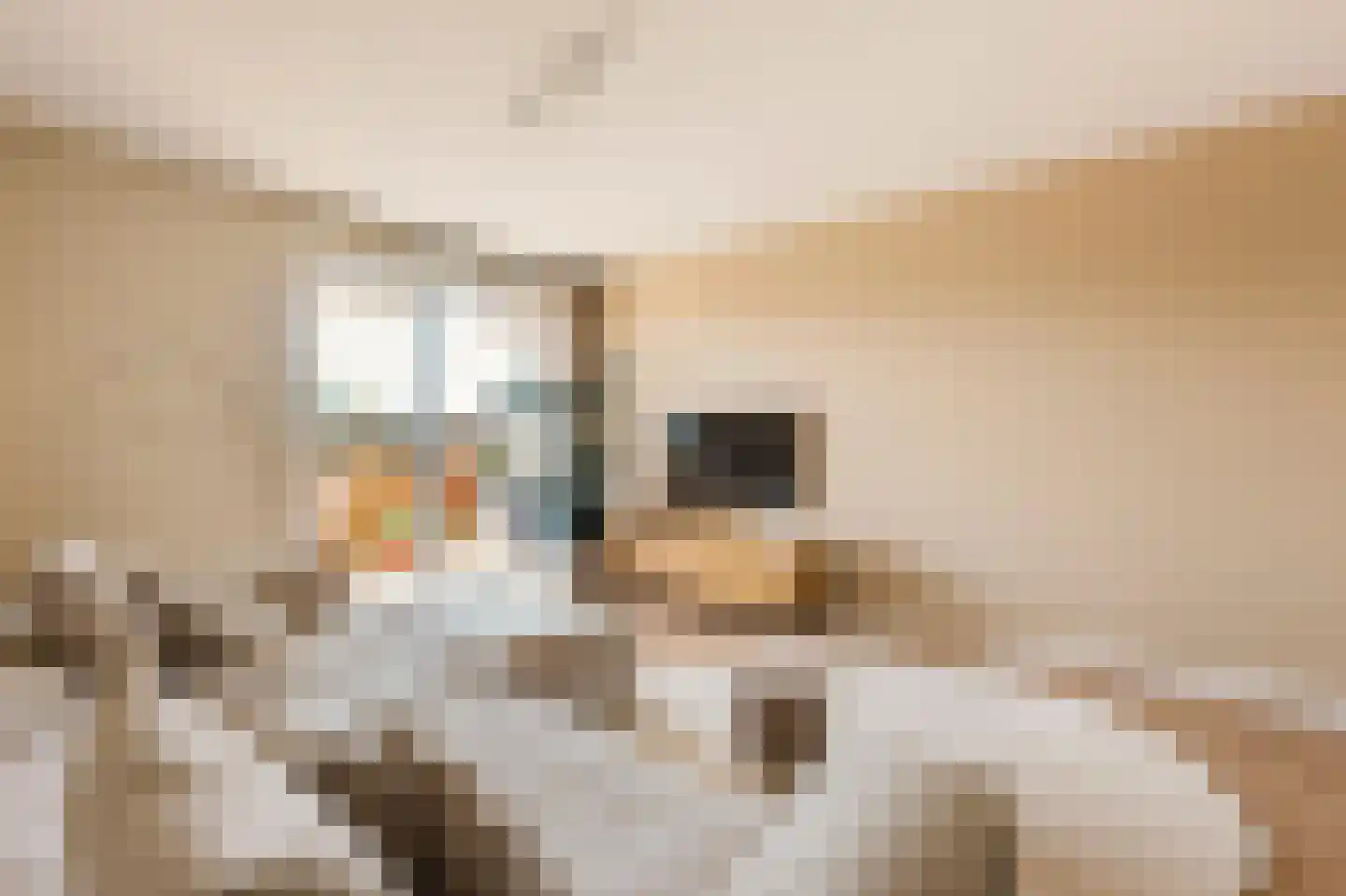 Nieuwe Osdorpergracht 466 D Amsterdam thumbnail 9