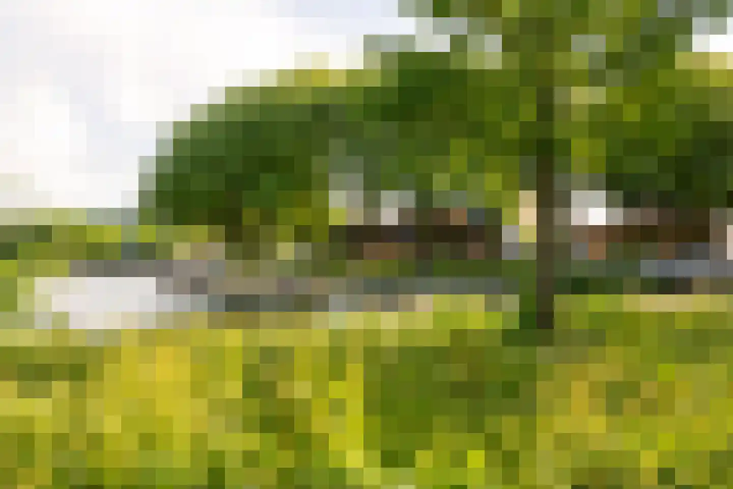 Nieuwe Osdorpergracht 470 B Amsterdam thumbnail 33