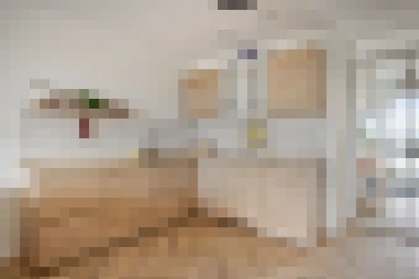 Nieuwe Osdorpergracht 474 C Amsterdam thumbnail 11