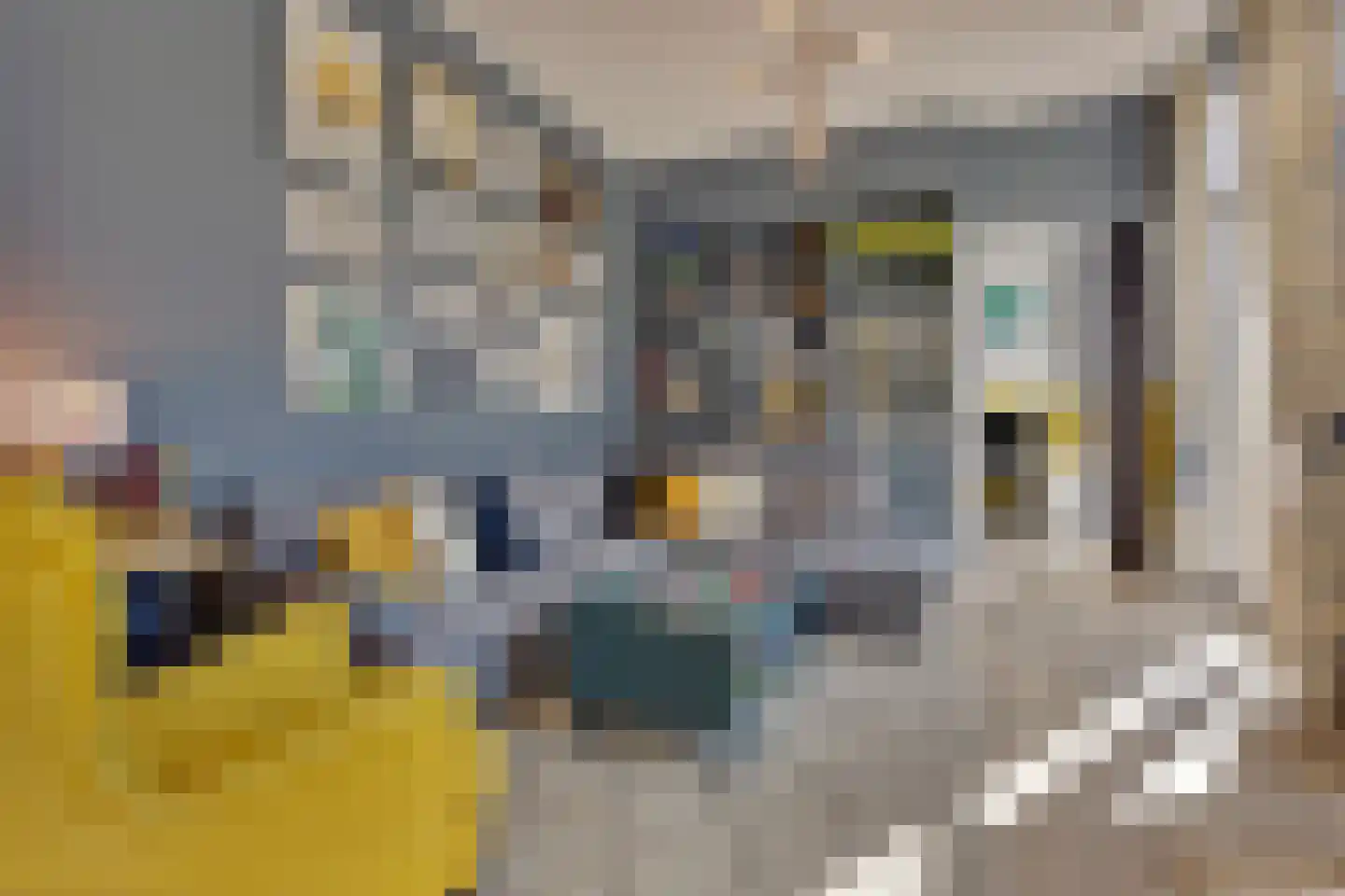 Nieuwe Osdorpergracht 564 Amsterdam foto 3