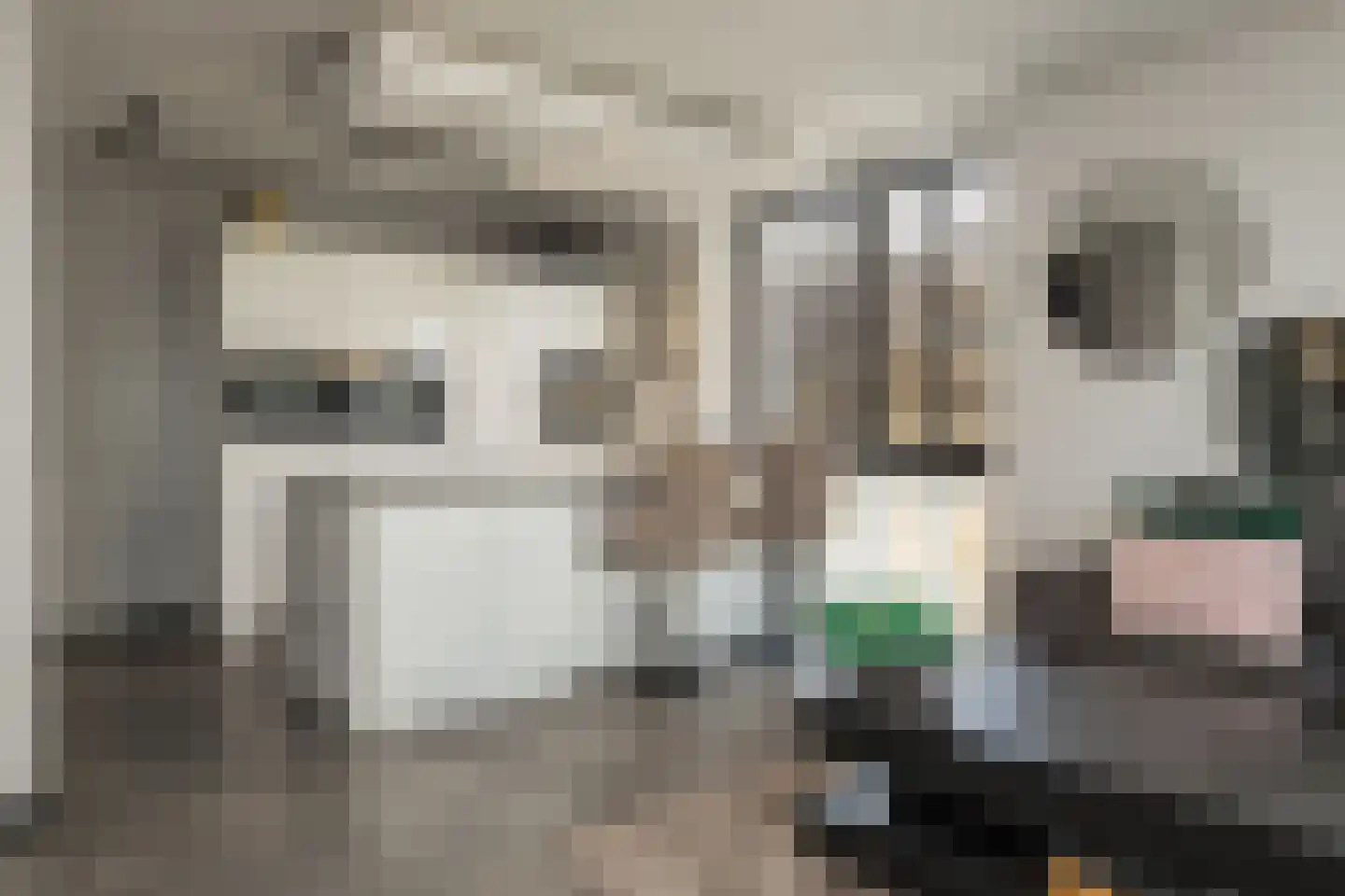 Nieuwe Osdorpergracht 610 Amsterdam thumbnail 26