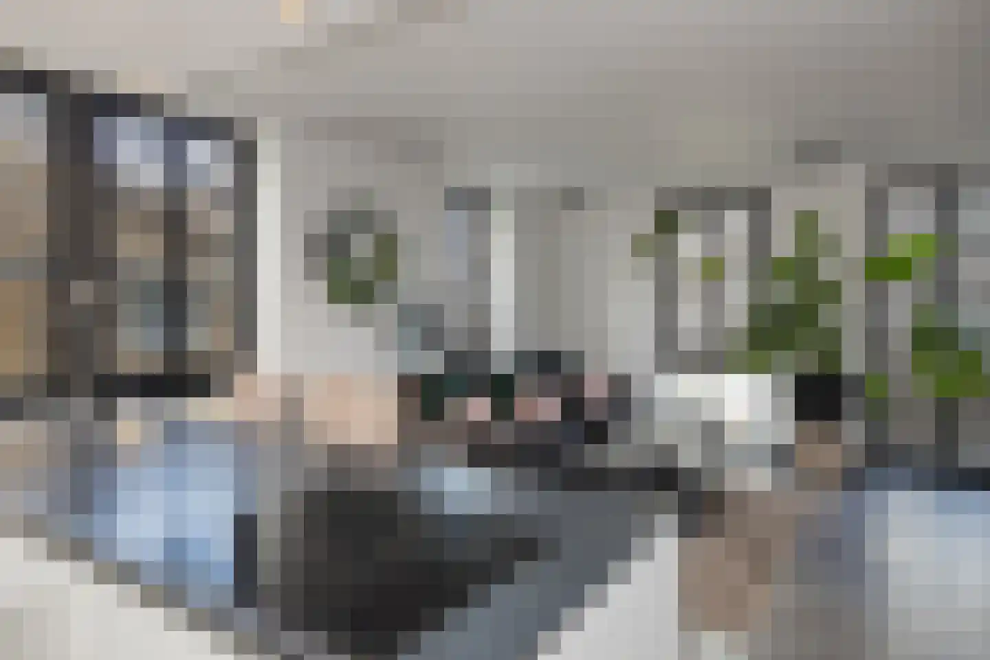 Nieuwe Osdorpergracht 610 Amsterdam thumbnail 27