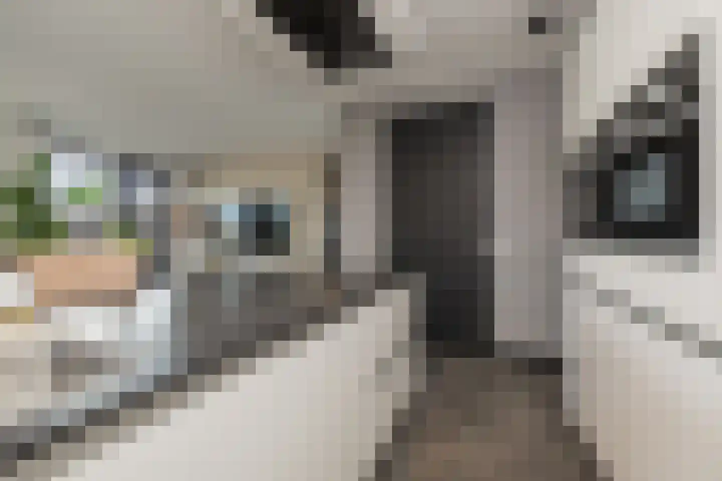 Nieuwe Osdorpergracht 610 Amsterdam thumbnail 28