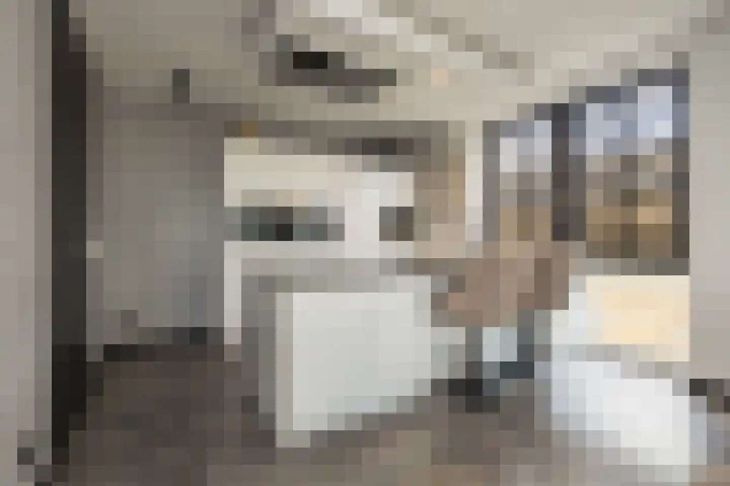 Nieuwe Osdorpergracht 610 Amsterdam thumbnail 4