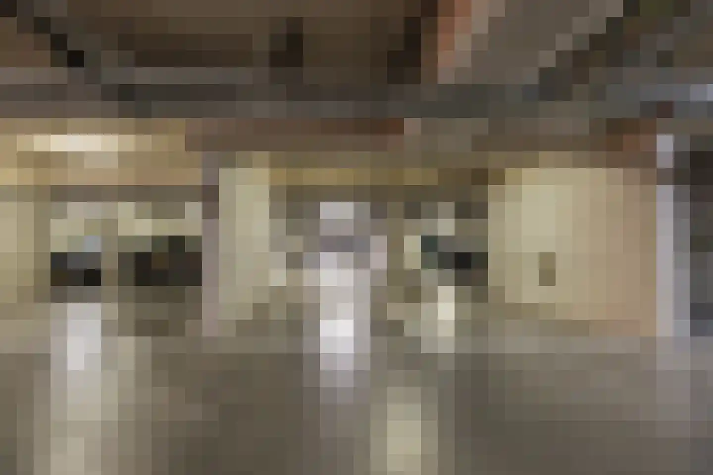 Nieuwe Osdorpergracht 610 Amsterdam thumbnail 43