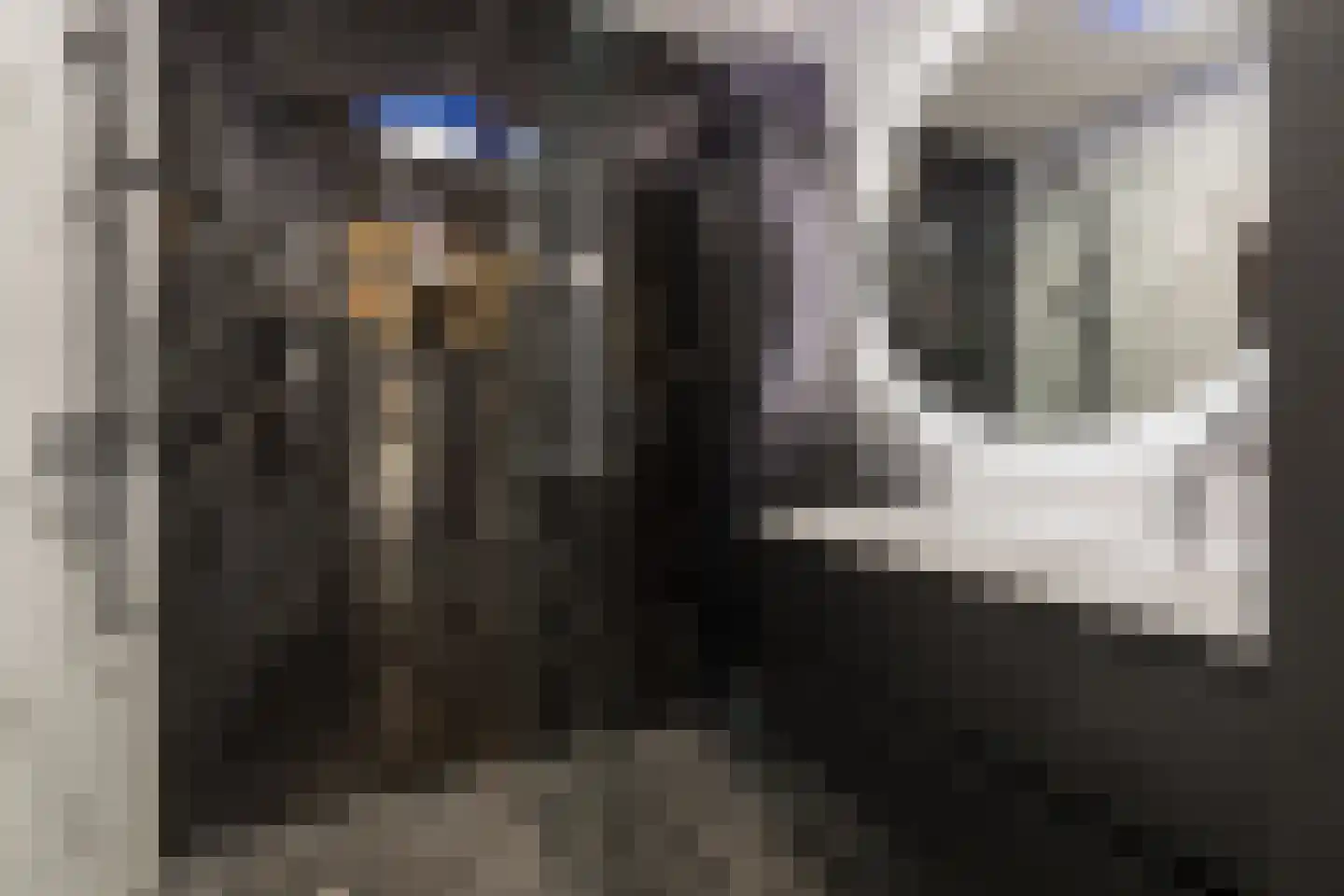 Nieuwe Osdorpergracht 610 Amsterdam thumbnail 8