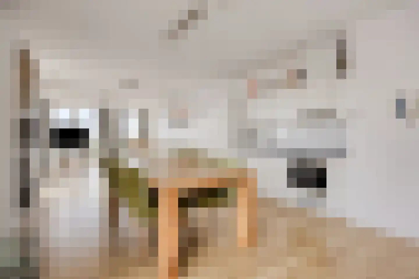 Nieuwe Osdorpergracht 656 Amsterdam thumbnail 4