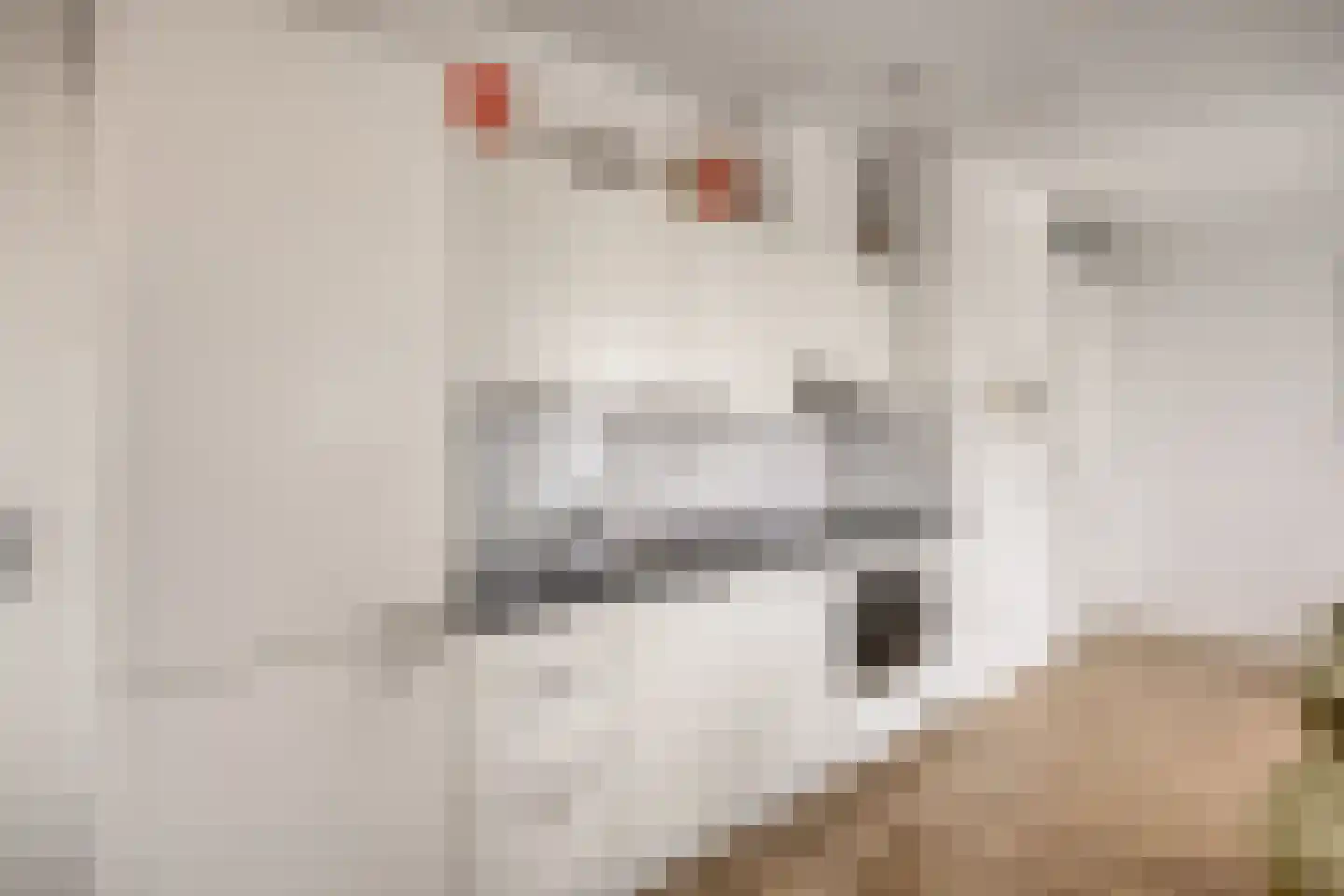 Nieuwe Osdorpergracht 656 Amsterdam thumbnail 9
