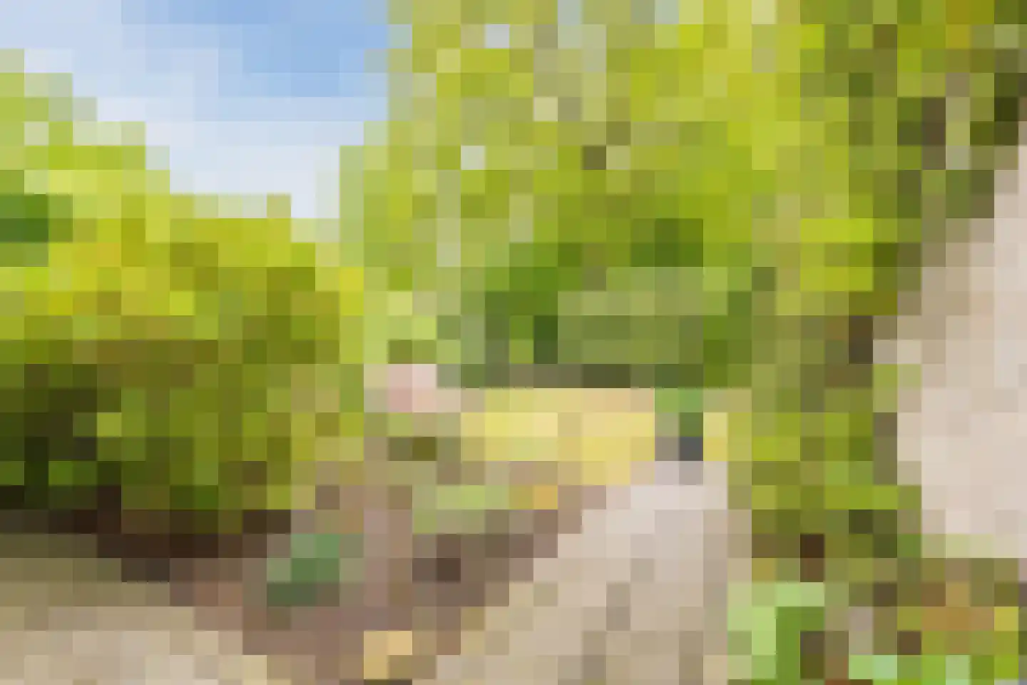 Nieuwe Parklaan 1 Vlagtwedde thumbnail 10