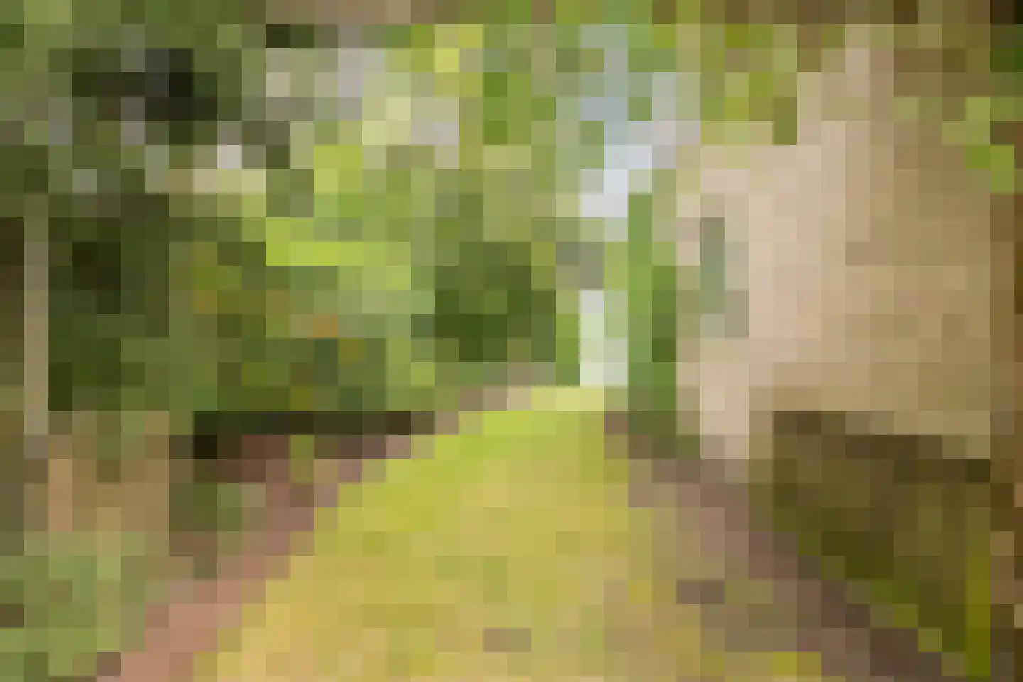 Nieuwe Parklaan 1 Vlagtwedde thumbnail 11