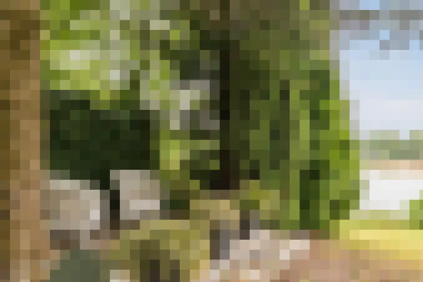 Nieuwe Parklaan 1 Vlagtwedde thumbnail 12