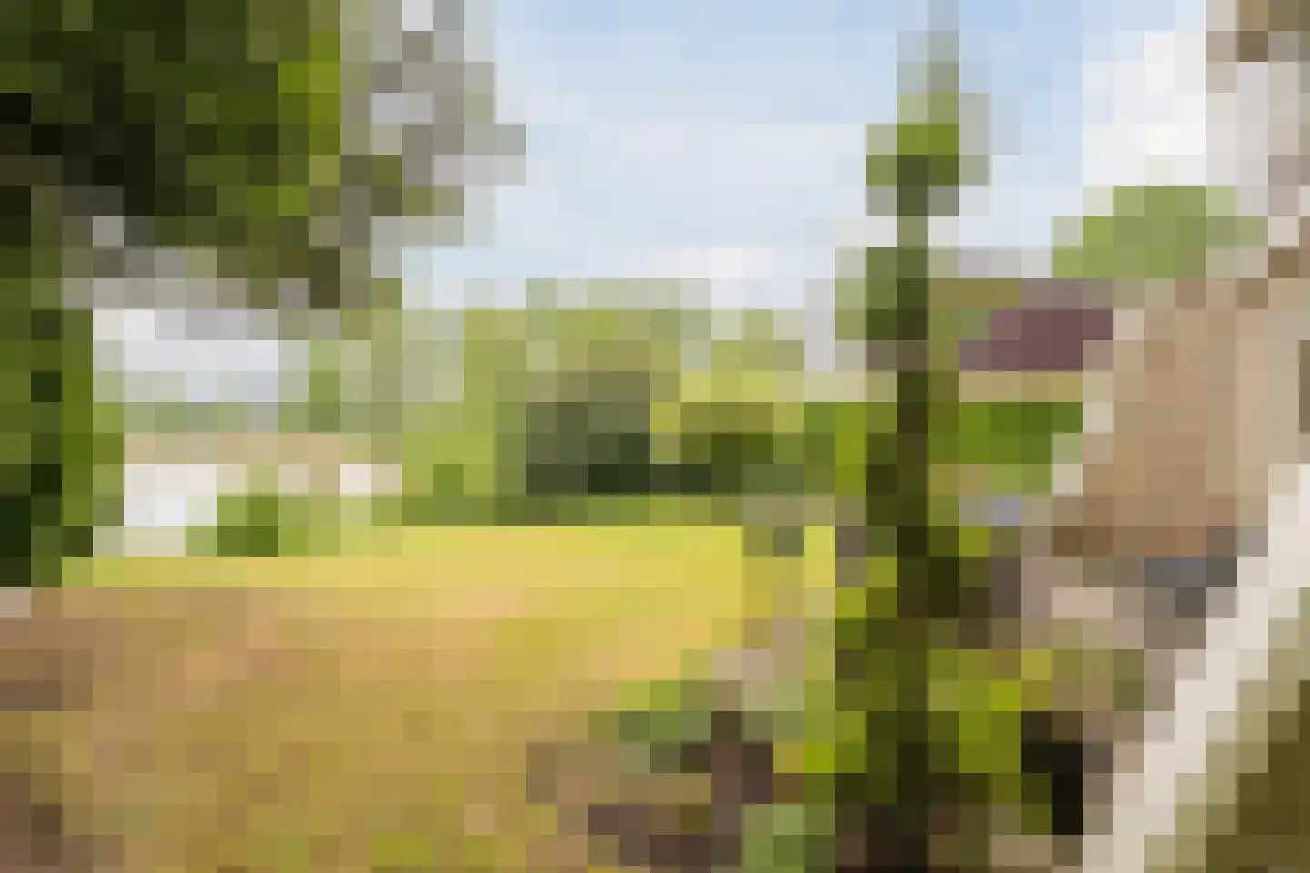 Nieuwe Parklaan 1 Vlagtwedde thumbnail 13