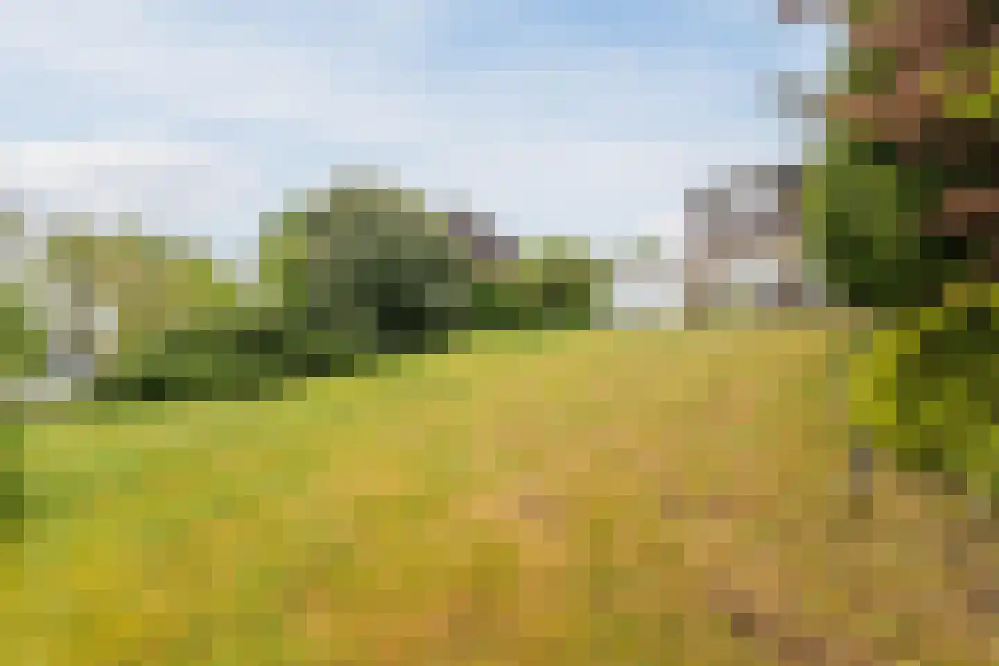 Nieuwe Parklaan 1 Vlagtwedde thumbnail 15