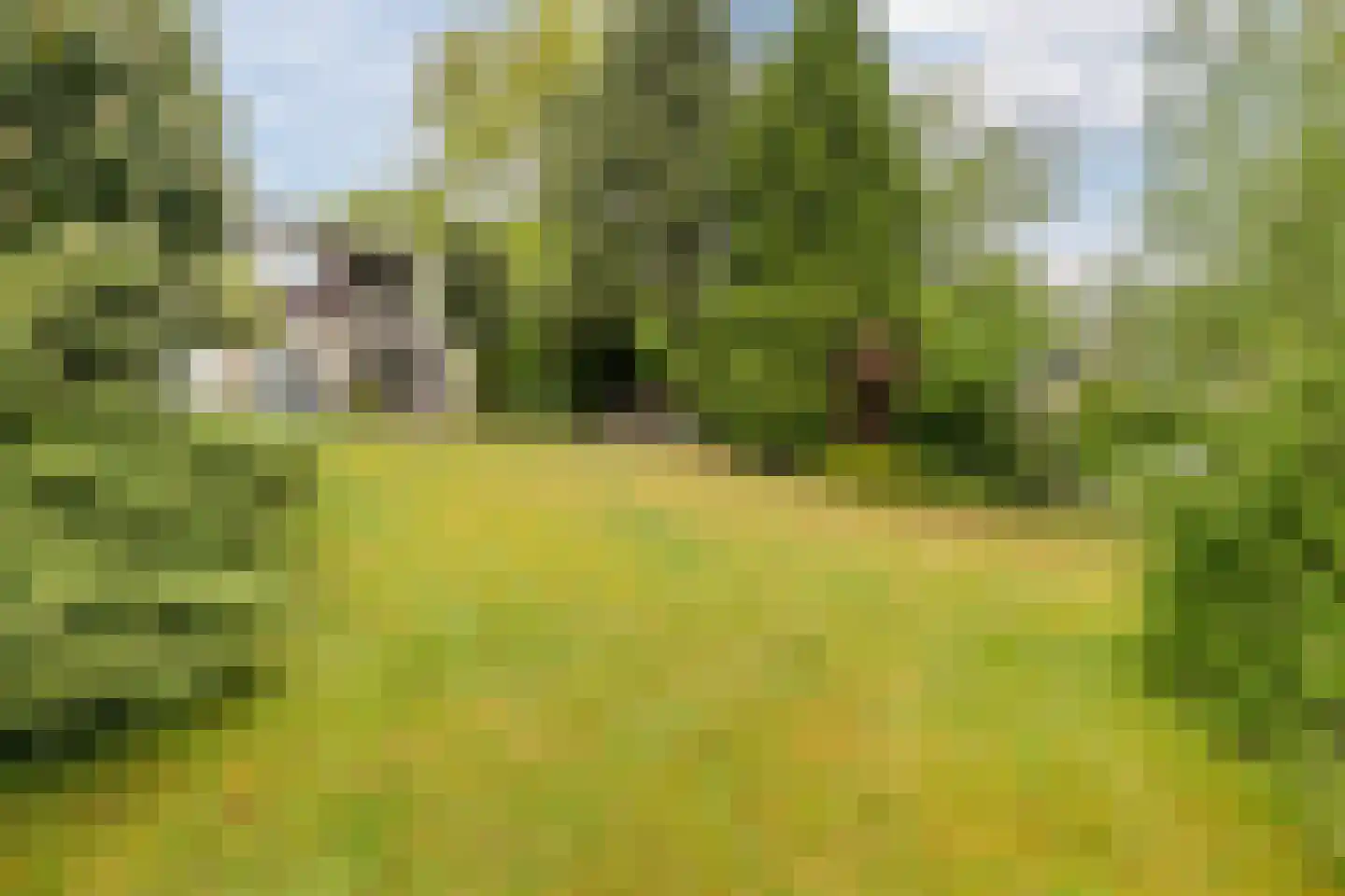 Nieuwe Parklaan 1 Vlagtwedde thumbnail 16