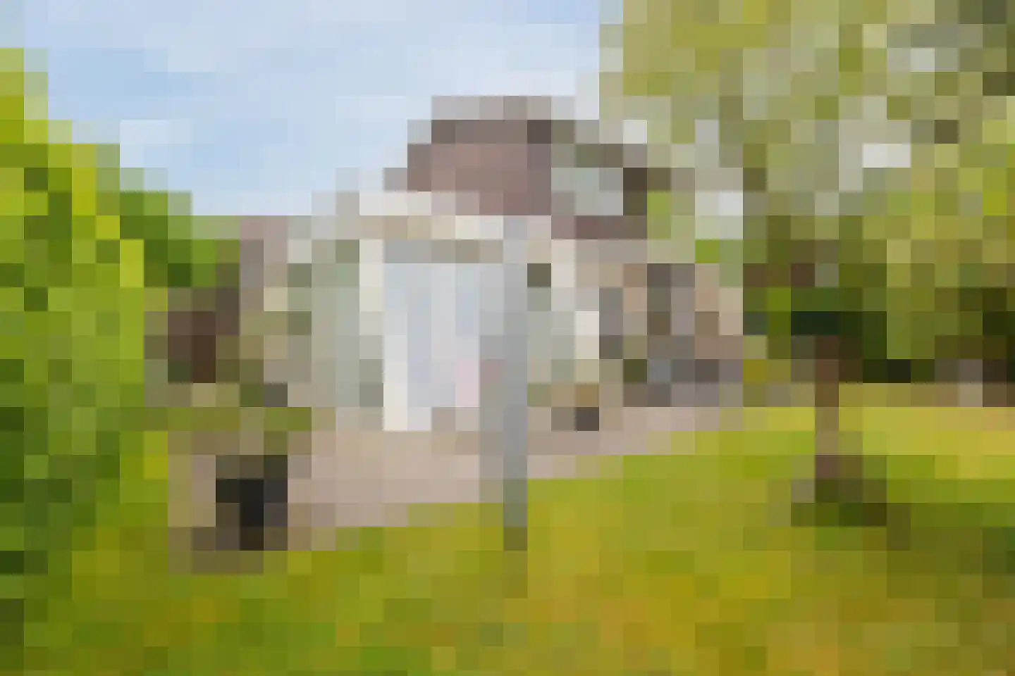Nieuwe Parklaan 1 Vlagtwedde thumbnail 17