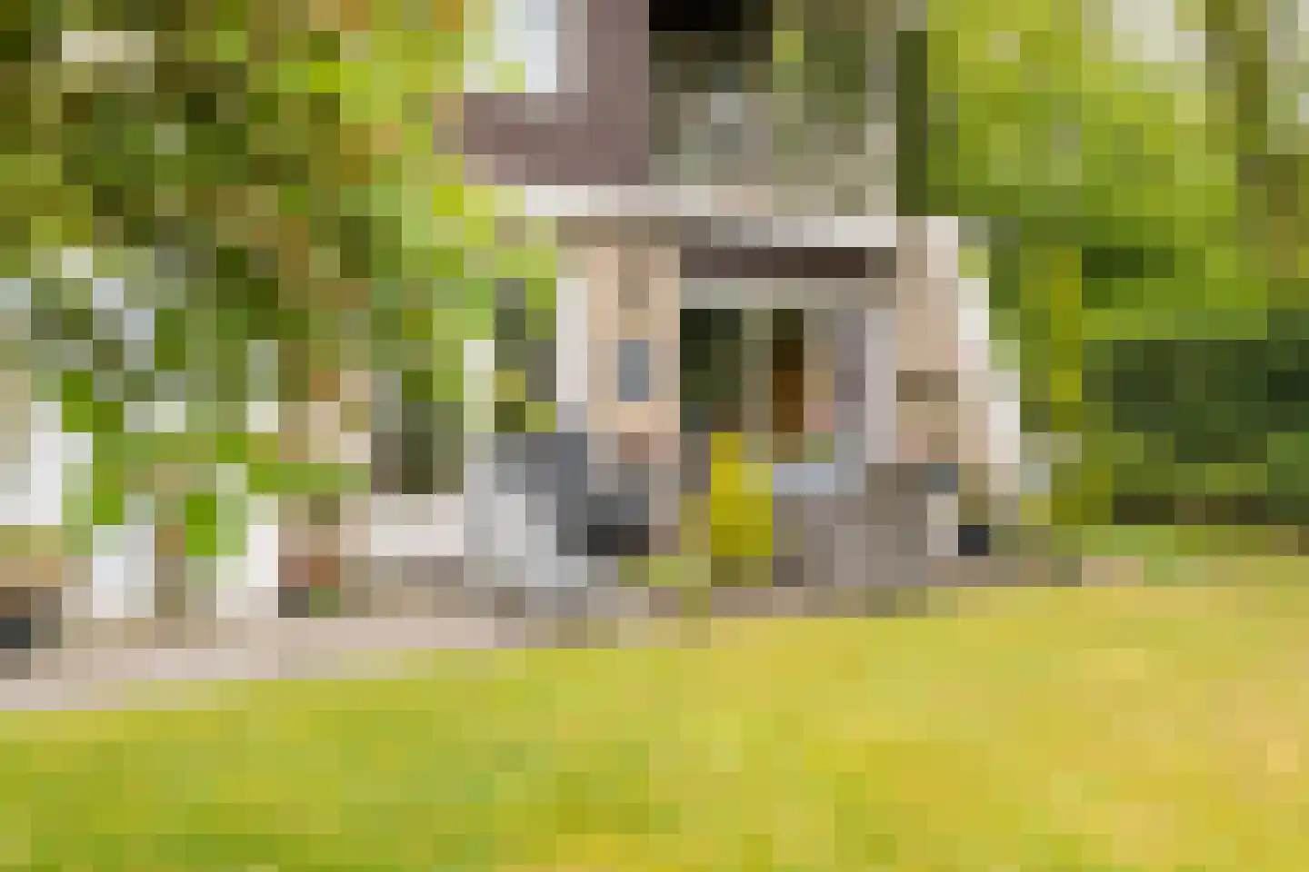 Nieuwe Parklaan 1 Vlagtwedde thumbnail 18