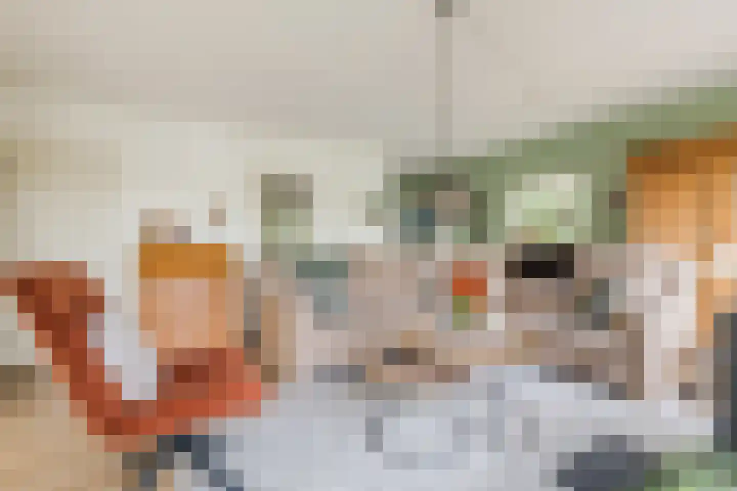 Nieuwe Parklaan 1 Vlagtwedde thumbnail 21