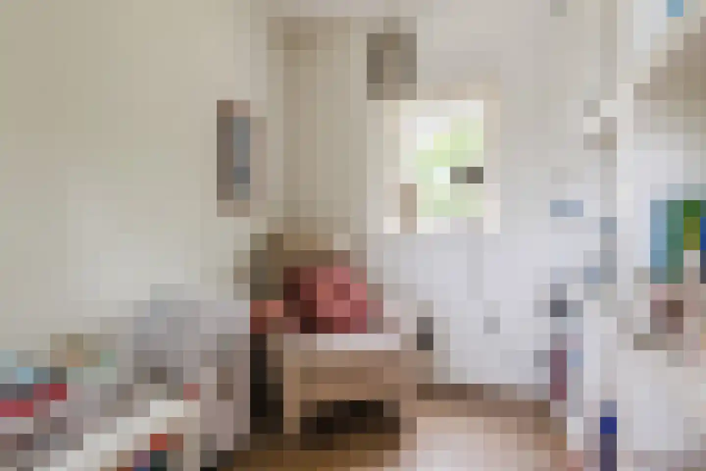 Nieuwe Parklaan 1 Vlagtwedde thumbnail 22