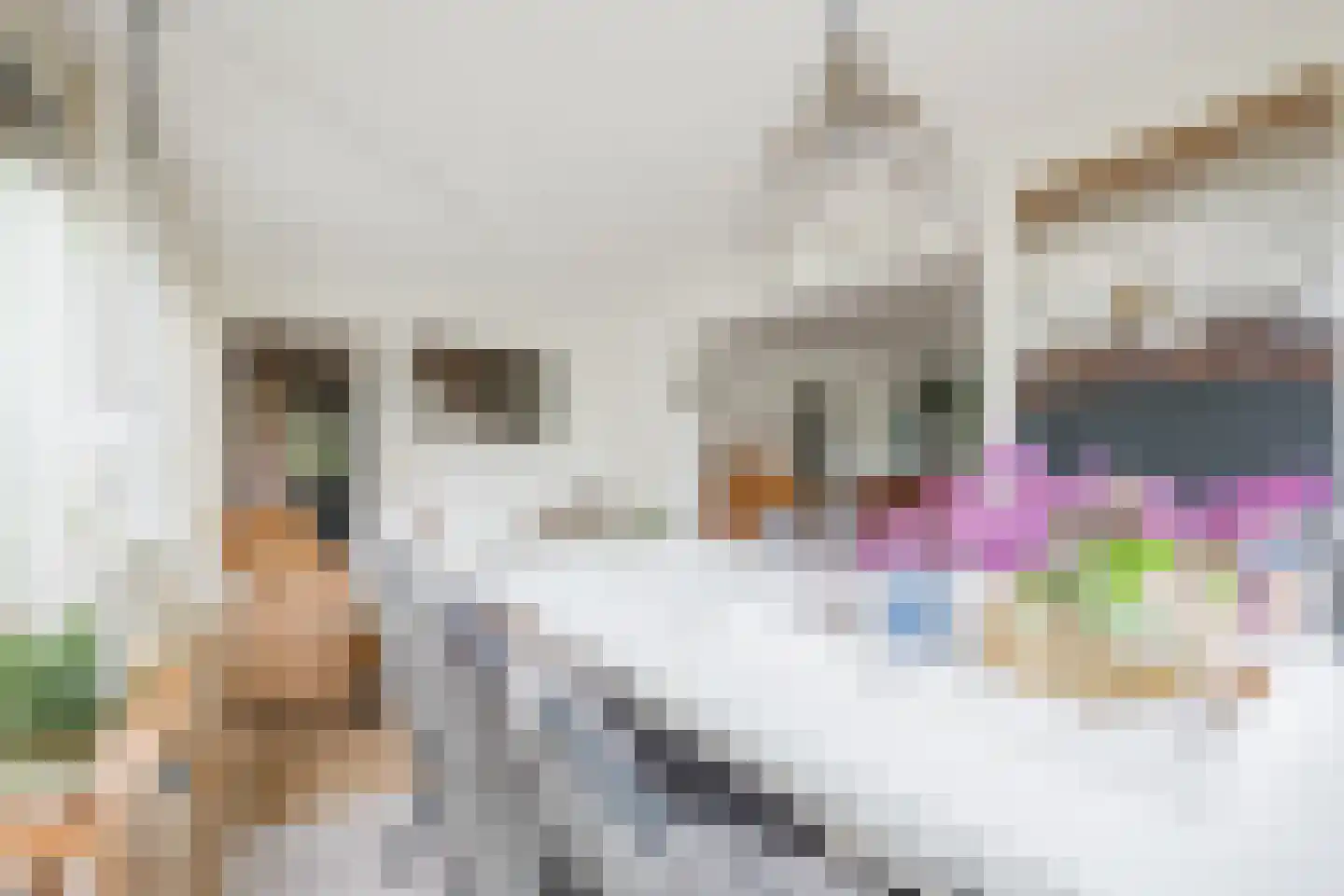 Nieuwe Parklaan 1 Vlagtwedde thumbnail 24