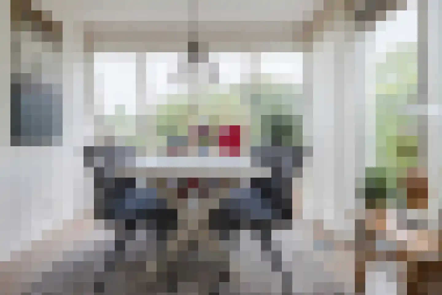 Nieuwe Parklaan 1 Vlagtwedde thumbnail 25
