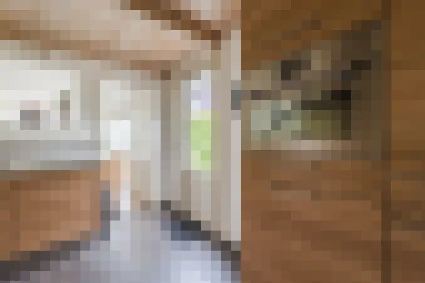 Nieuwe Parklaan 1 Vlagtwedde thumbnail 26