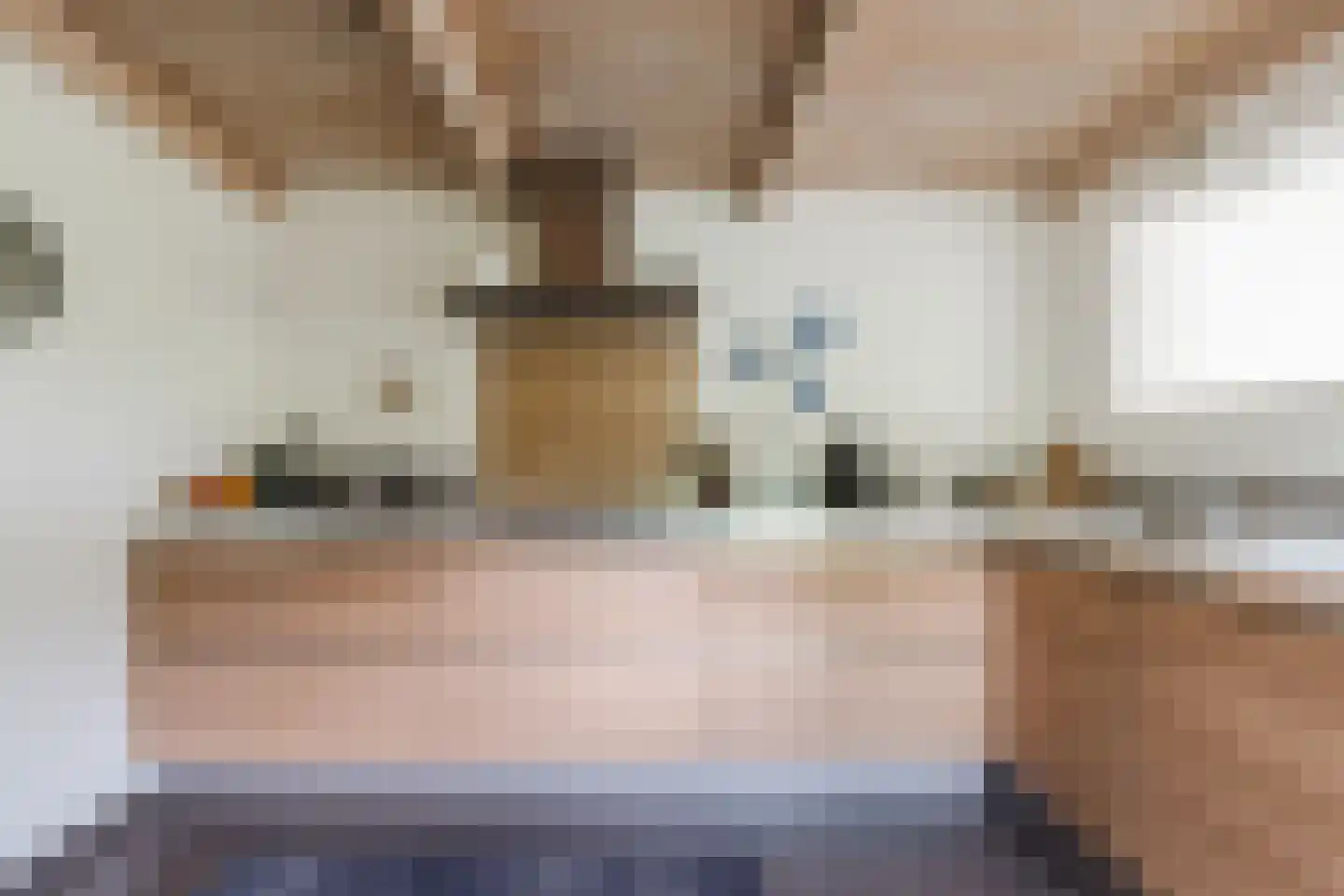 Nieuwe Parklaan 1 Vlagtwedde thumbnail 27