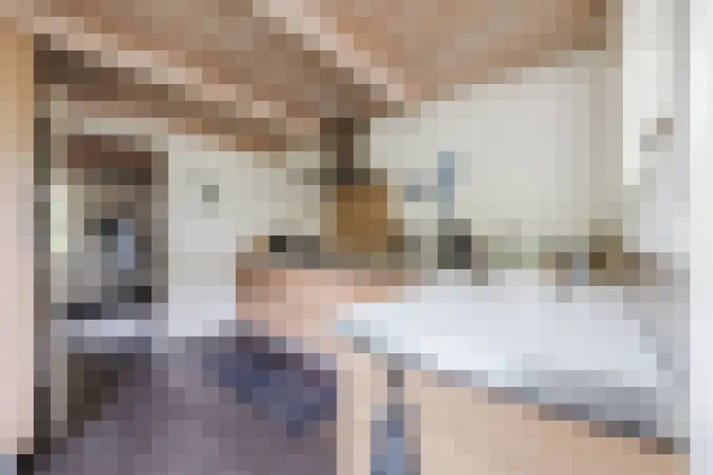 Nieuwe Parklaan 1 Vlagtwedde thumbnail 28