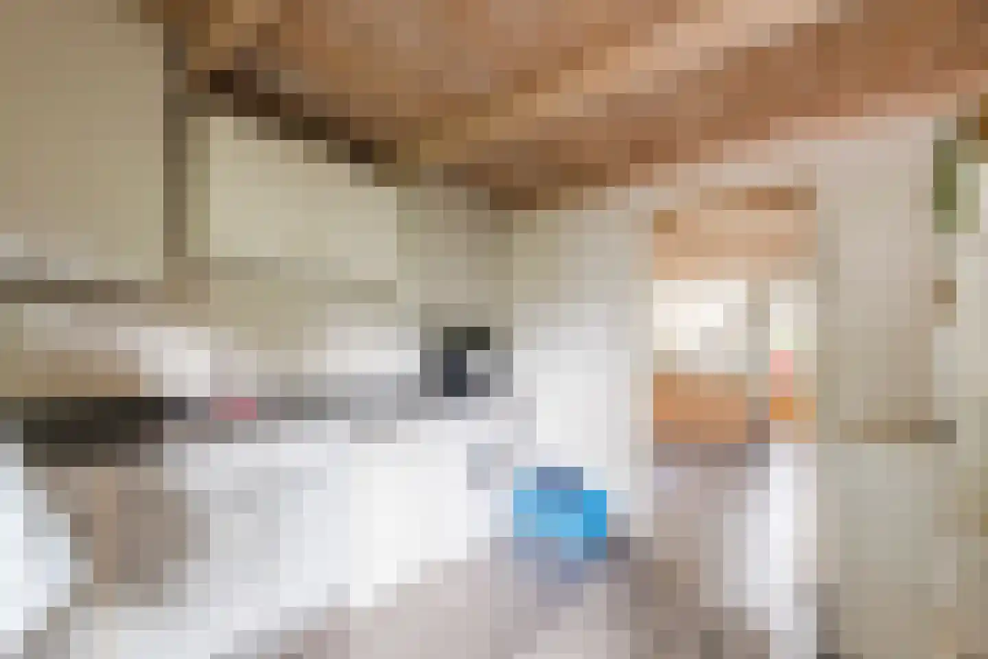 Nieuwe Parklaan 1 Vlagtwedde thumbnail 29