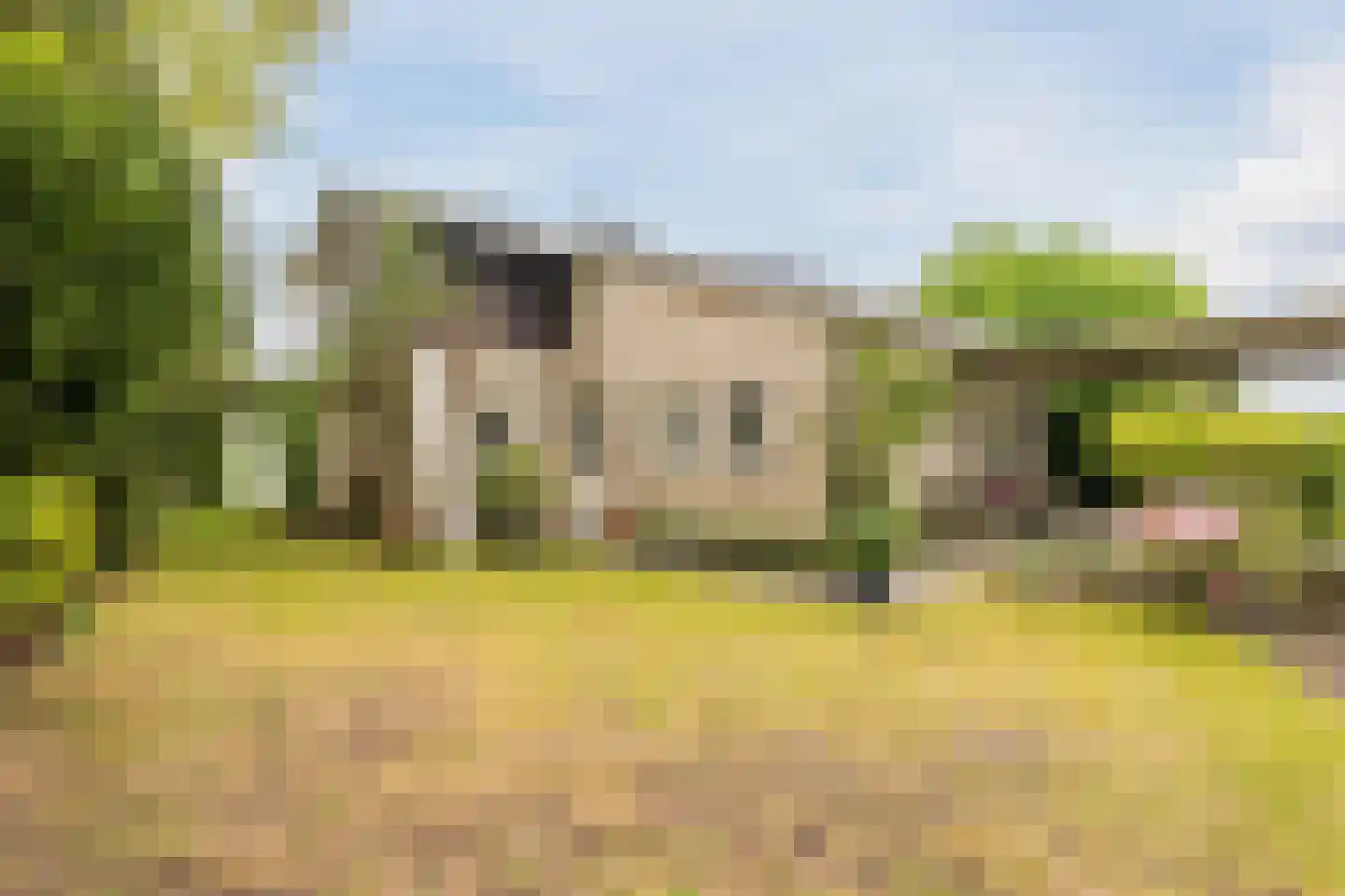 Nieuwe Parklaan 1 Vlagtwedde foto 3