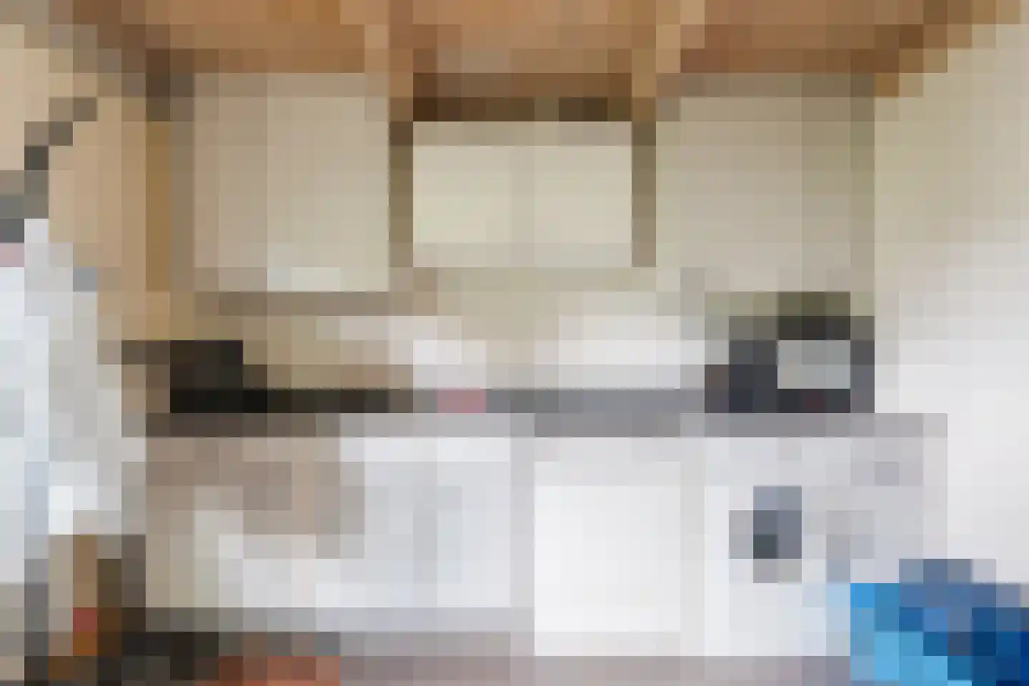 Nieuwe Parklaan 1 Vlagtwedde thumbnail 30