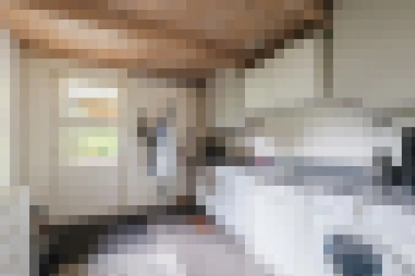 Nieuwe Parklaan 1 Vlagtwedde thumbnail 31