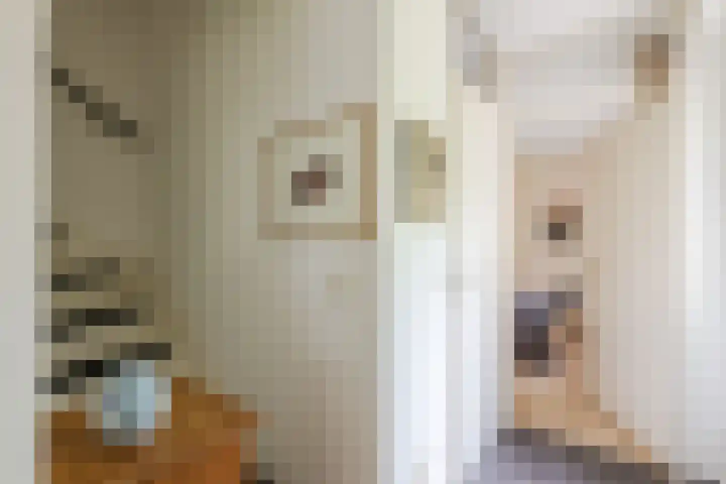 Nieuwe Parklaan 1 Vlagtwedde thumbnail 32