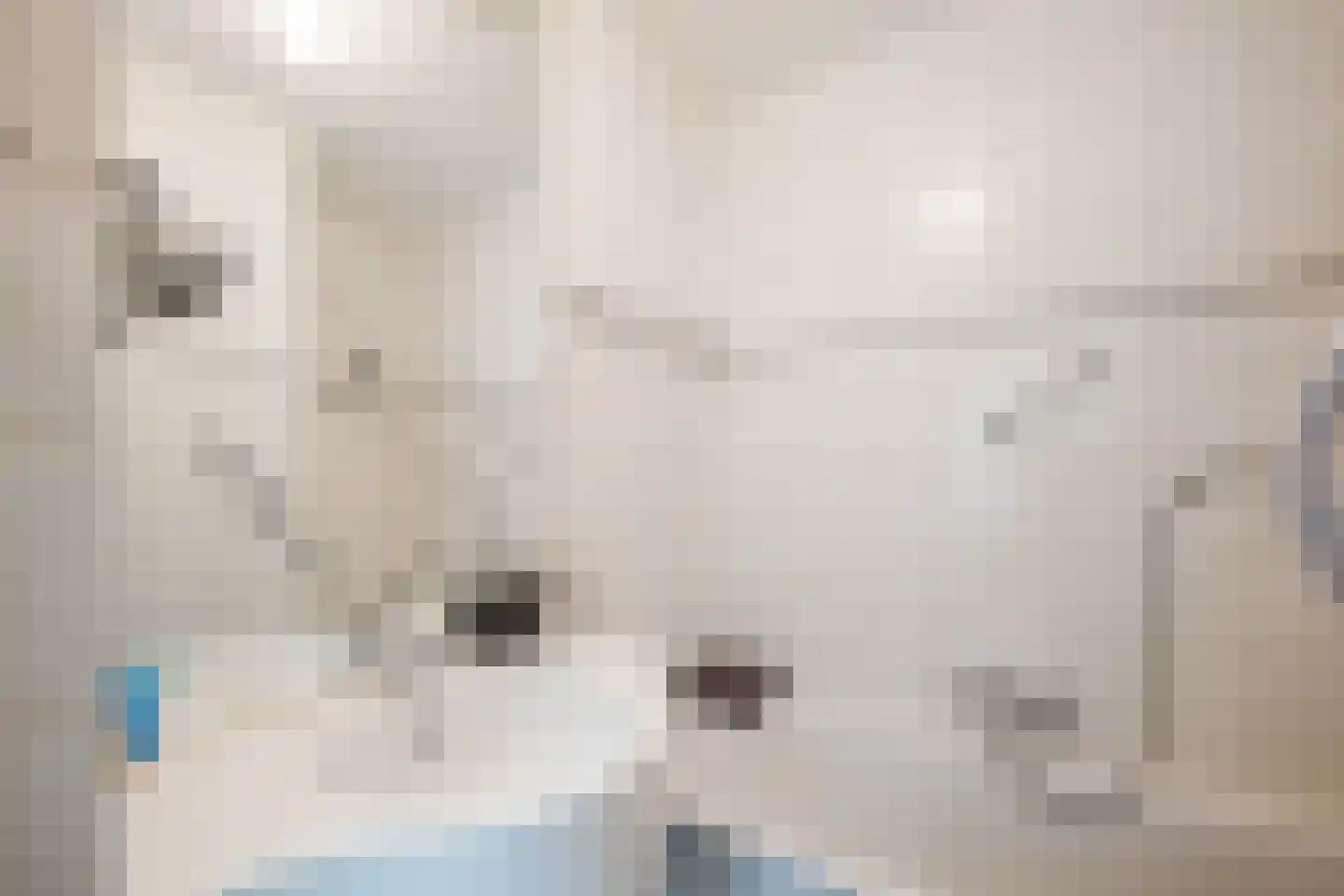 Nieuwe Parklaan 1 Vlagtwedde thumbnail 34