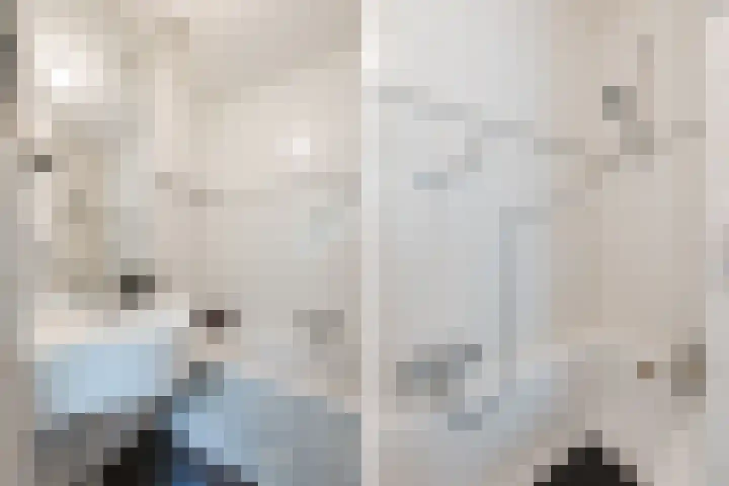 Nieuwe Parklaan 1 Vlagtwedde thumbnail 35