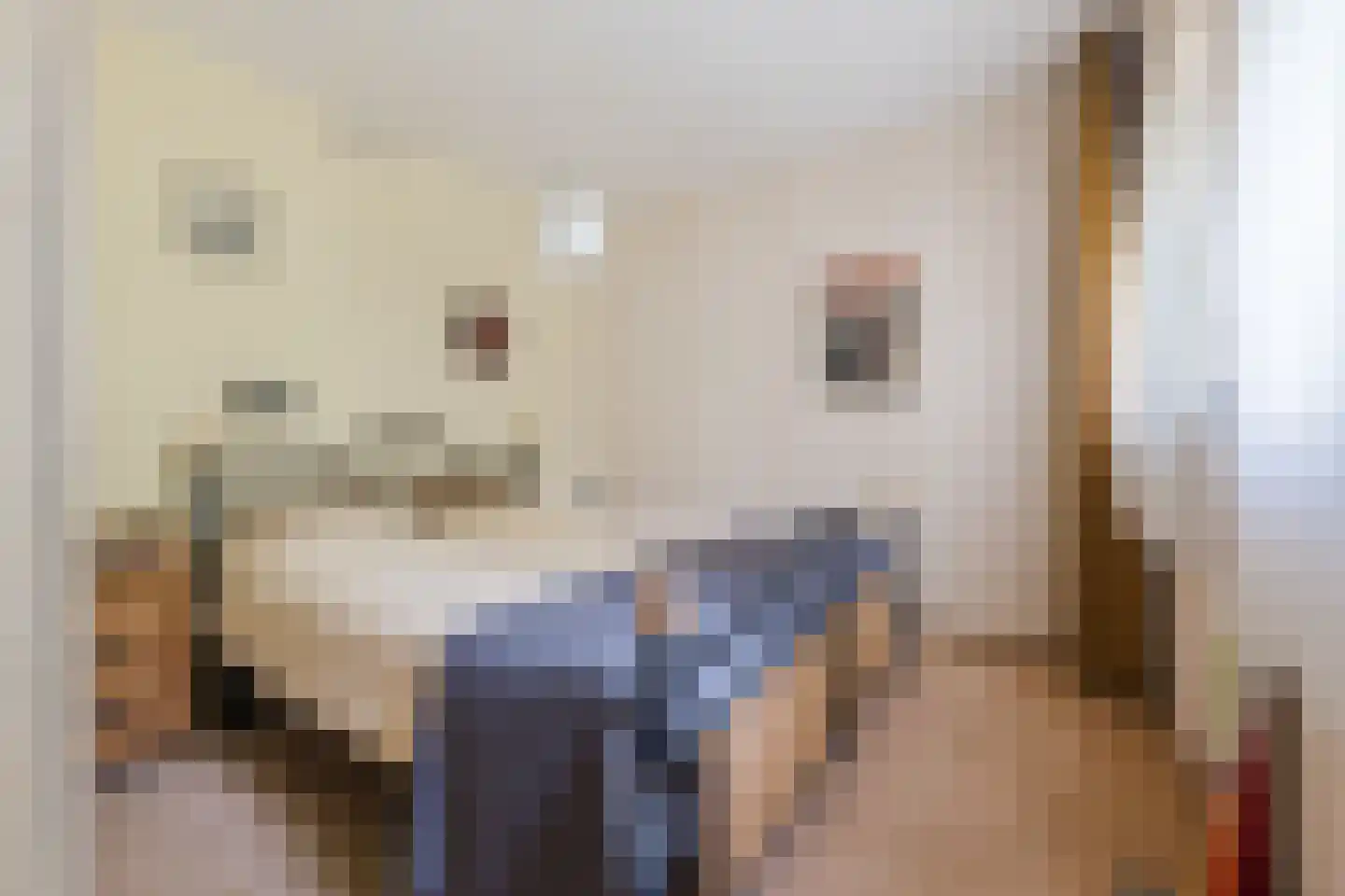 Nieuwe Parklaan 1 Vlagtwedde thumbnail 36