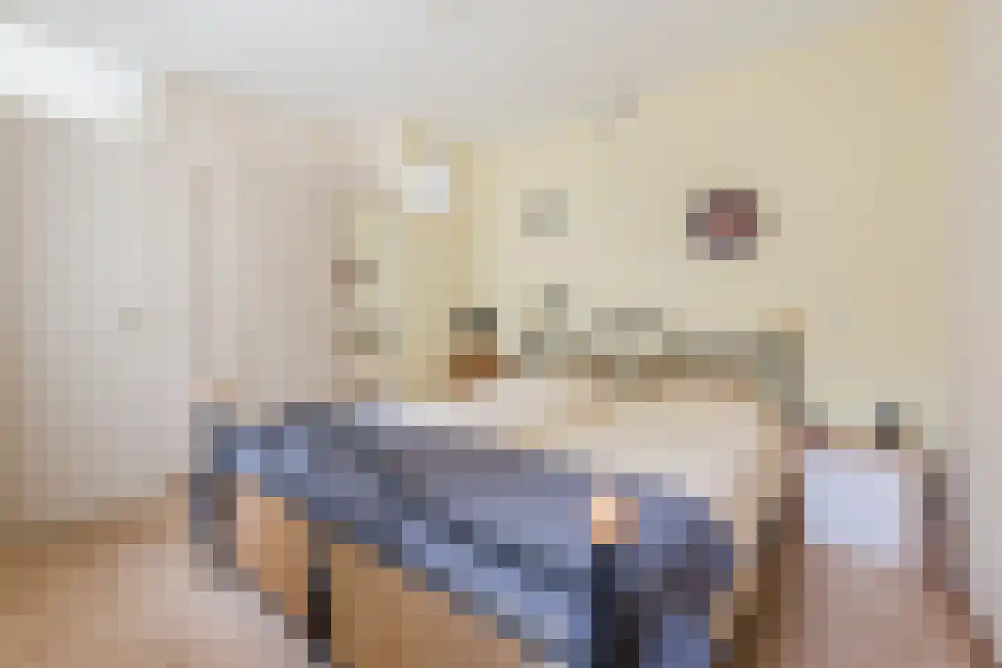 Nieuwe Parklaan 1 Vlagtwedde thumbnail 37