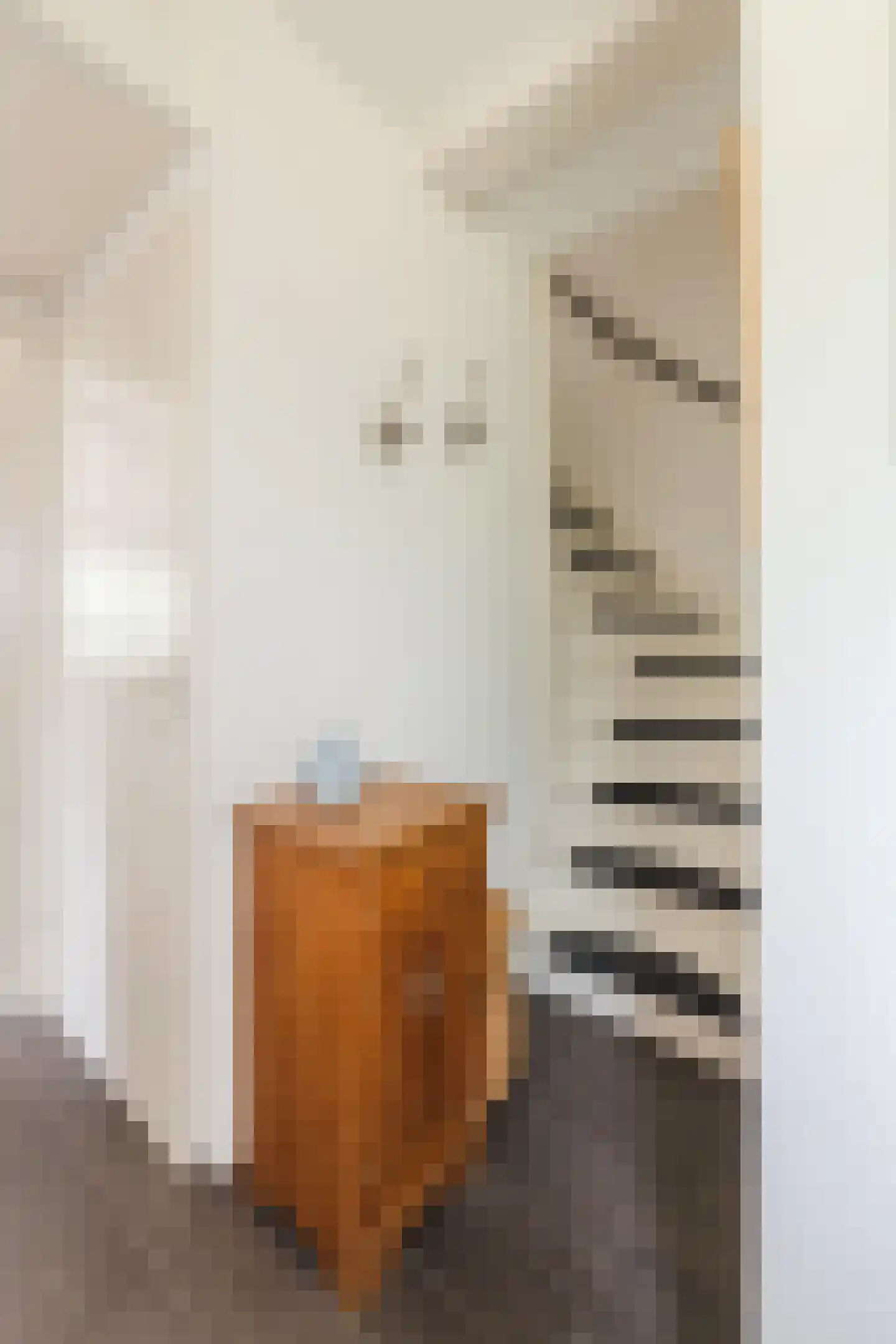 Nieuwe Parklaan 1 Vlagtwedde thumbnail 38
