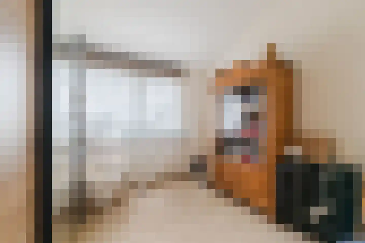 Nieuwe Parklaan 1 Vlagtwedde thumbnail 41
